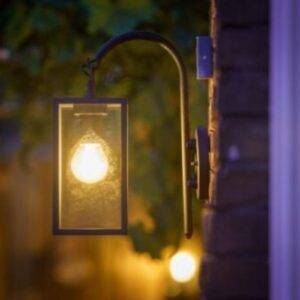 Columba Kinkiet - obrazek 2