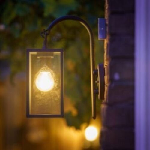 Columba Kinkiet - obrazek 2