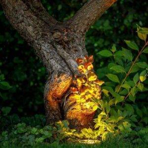 Lampa do Zabudowy Rubum