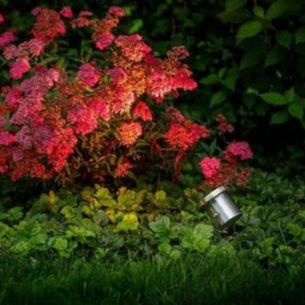 Arigo Reflektor kierunkowy