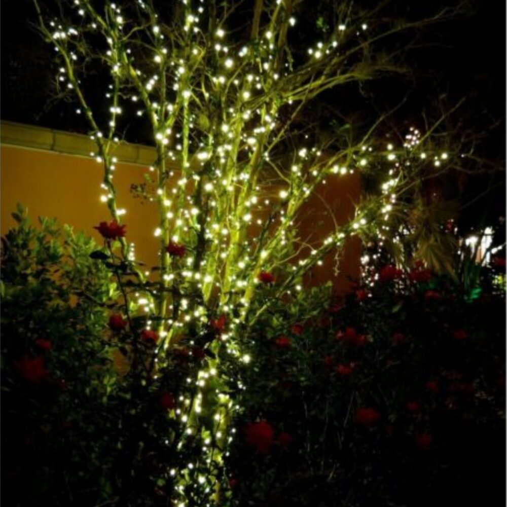 TLINEA 1 Łańcuch 100 LED