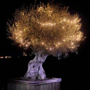 LINEA 1 Łańcuch 100 LED - obrazek 3