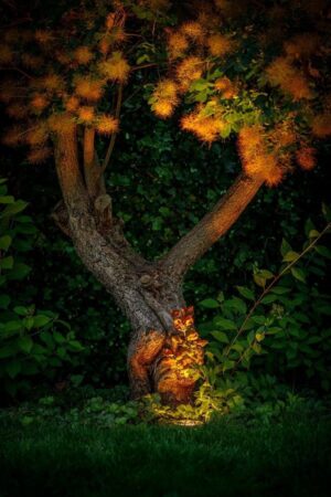 RUBUM Plus Smart Lampa do zabudowy - obrazek 2