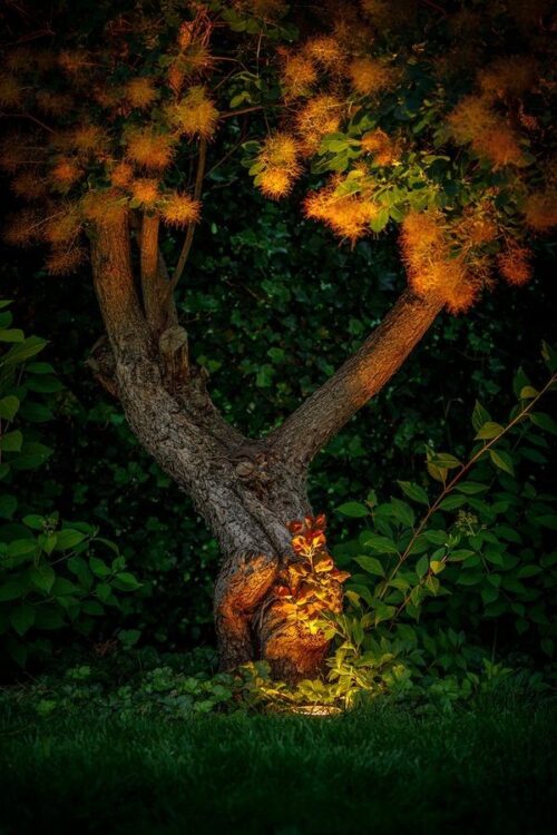 RUBUM Plus Smart Lampa do zabudowy - obrazek 2