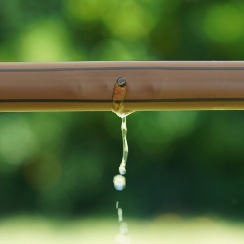 linia kroplująca Rain Bird XFD