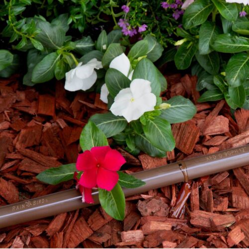 linia kroplująca Rain Bird XFD