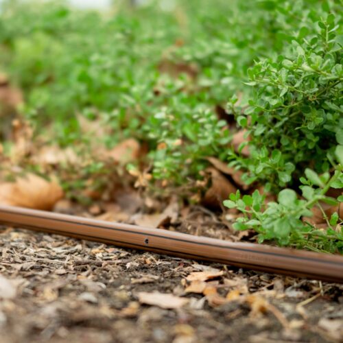 linia kroplująca Rain Bird XFD