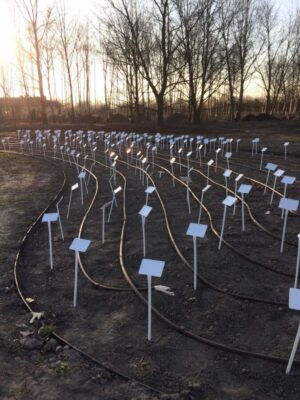 Linia kroplująca TORO PC z kompensacją ciśnienia em. 33 cm - 400 mb - obrazek 2