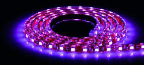 Taśma LED RGB (mb) 24V - obrazek 2