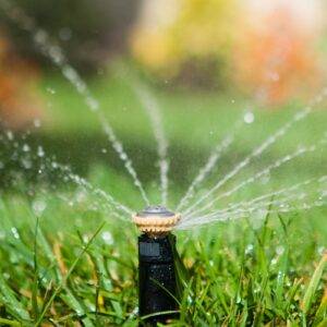 dysza rotacyjna Rain Bird R-VAN 18