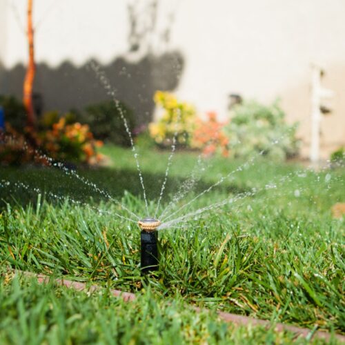 dysza rotacyjna Rain Bird R-VAN 18