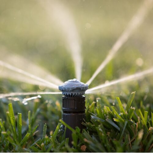 dysza rotacyjna Rain Bird R-VAN 14