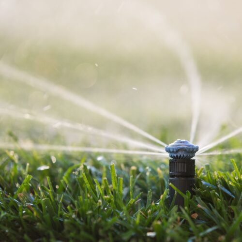 dysza rotacyjna Rain Bird R-VAN 14