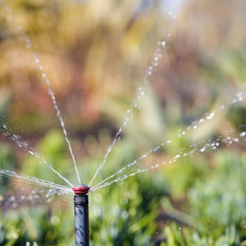 Dysza rotacyjna Rain Bird R-VAN 24, 5,2–7,3 m (45°–270°) - obrazek 4