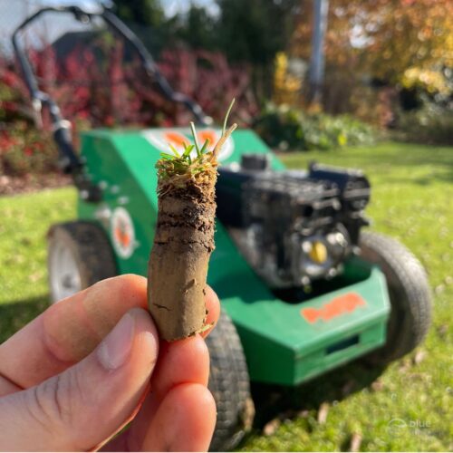 Aerator Billy Goat Kraków