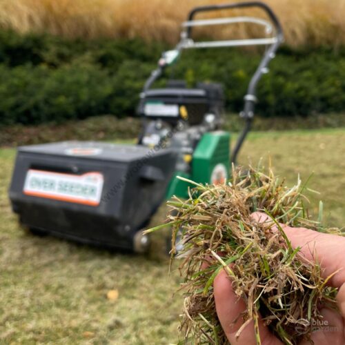 Wertykulator Billy Goat PR - WYPOŻYCZALNIA - obrazek 2