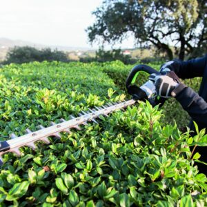 Nożyce do żywopłotu EGO Power+ HT6500E - obrazek 6