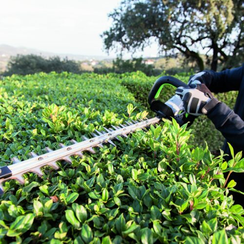 Nożyce do żywopłotu EGO Power+ HT6500E - obrazek 6