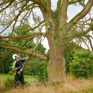 Jednostka Napędowa z Wysięgnikiem Teleskopowym EGO PPX1000 - obrazek 2