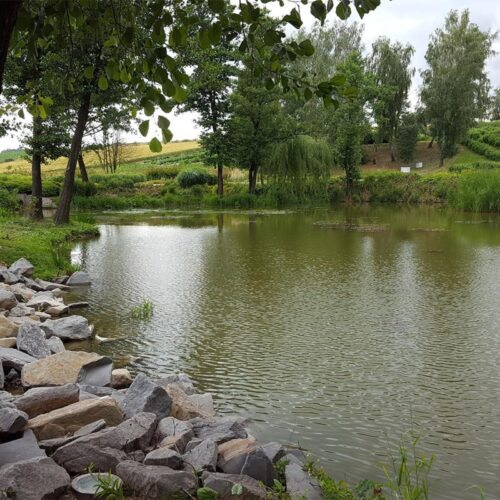 Membrana PondGard™ EPDM 1.02mm / szer. 6.10m / metry bieżące - obrazek 9