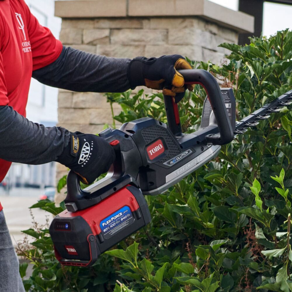 Bateria TORO FlexForce 10Ah