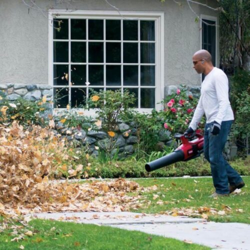 Akumulatorowa Dmuchawa Toro - obrazek 2