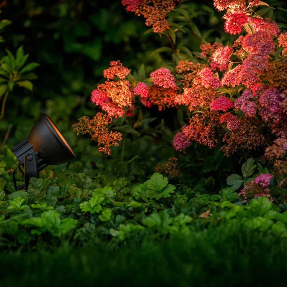 Raf Reflektor kierunkowy