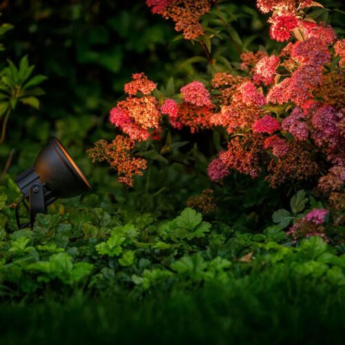 Raf Reflektor kierunkowy