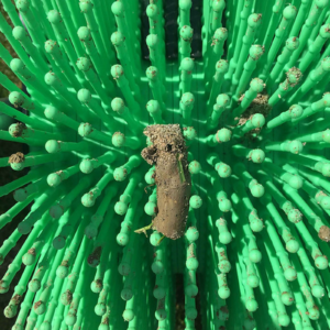 Zbieracz do wykorków po aeracji Bag-A-Nut 36" – model pchany