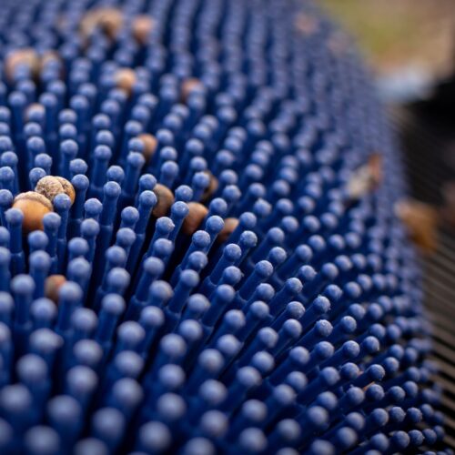 Zbieracz do orzechów i żołędzi Bag-A-Nut