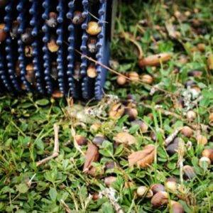 Zbieracz do orzechów i żołędzi Bag-A-Nut