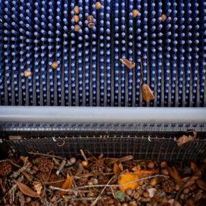 Zbieracz do orzechów i żołędzi Bag-A-Nut