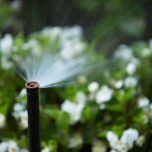 Dysza Rain Bird 12-VAN, 2,7–3,7 m (0–360°) - obrazek 5