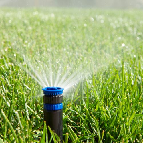 Dysza Rain Bird HE-VAN