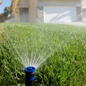 Dysza Rain Bird HE-VAN