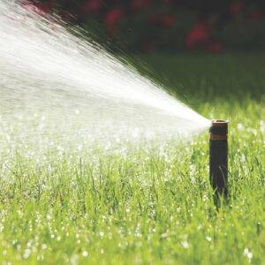 Dysza Rain Bird HE-VAN