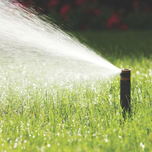 Dysza Rain Bird HE-VAN