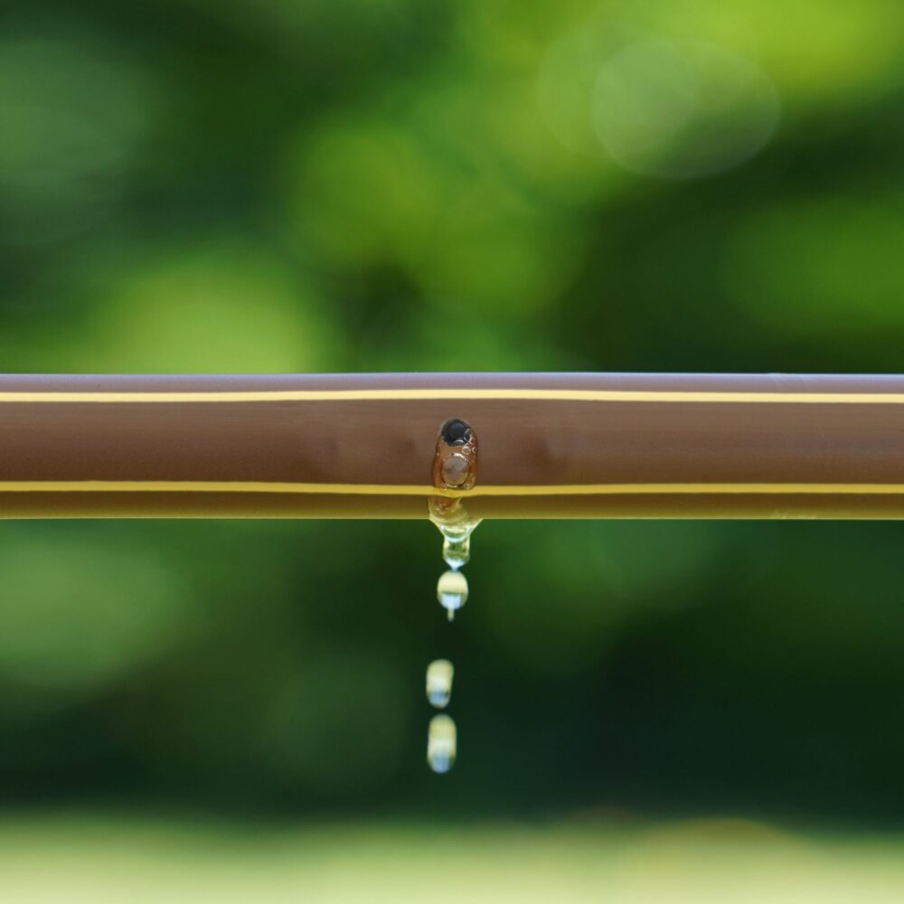 Linia kroplująca Rain Bird