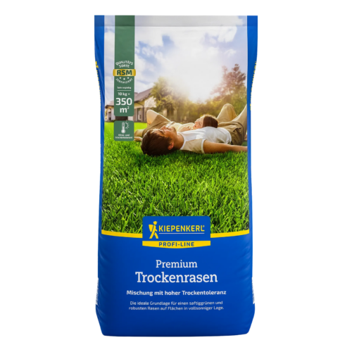 Mieszanka traw Kiepenkerl Profi-Line Premium na suche tereny 10 kg - obrazek 1